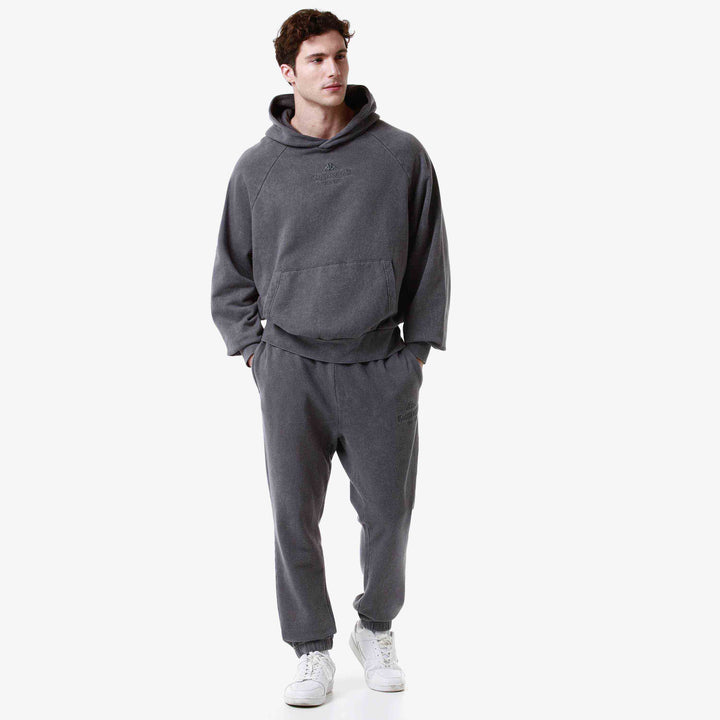 Hoodie Authentic Premium Lome Gris Homme