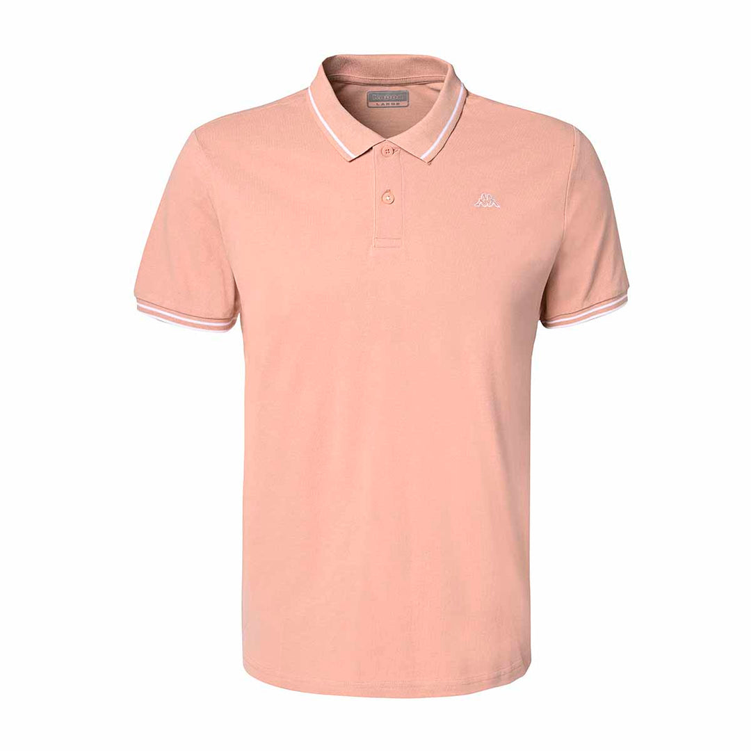 Polo homme Ezio Rose